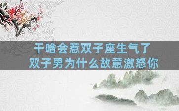 干啥会惹双子座生气了 双子男为什么故意激怒你